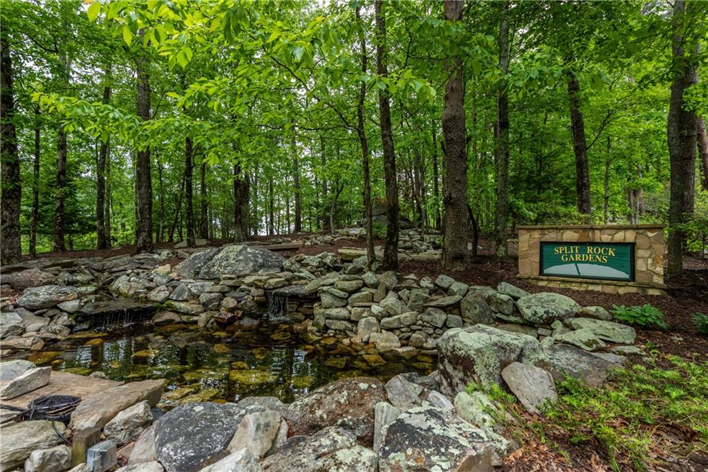 307 Stonehaven Court Jasper, GA 30143 - Photo 17 of 18 a view of park with trees