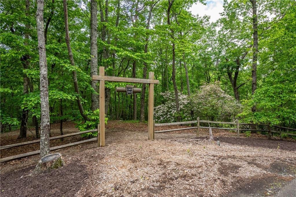 307 Stonehaven Court Jasper, GA 30143 - Photo 18 of 18 a backyard of a house with lots of green space