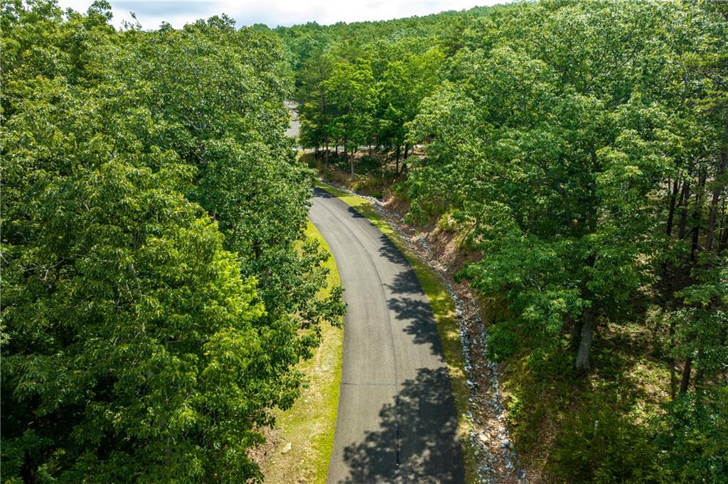 307 Stonehaven Court Jasper, GA 30143 - Photo 2 of 18 a view of a forest with a tree