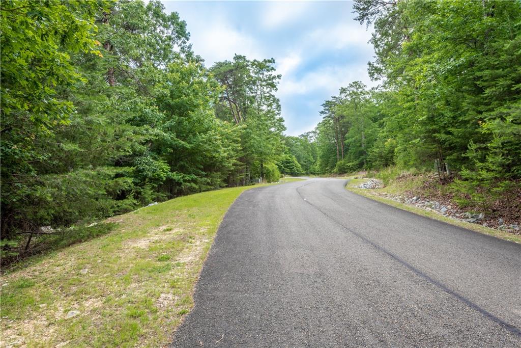 307 Stonehaven Court Jasper, GA 30143 - Photo 5 of 18 a view of a road with a yard