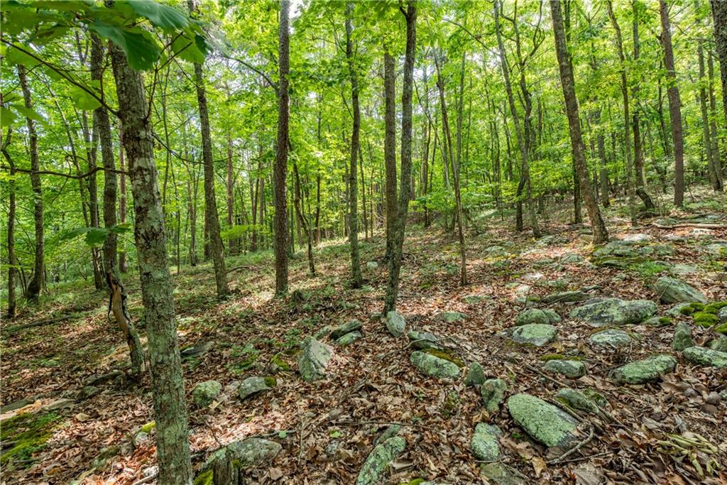 307 Stonehaven Court Jasper, GA 30143 - Photo 6 of 18 a view of outdoor space and trees