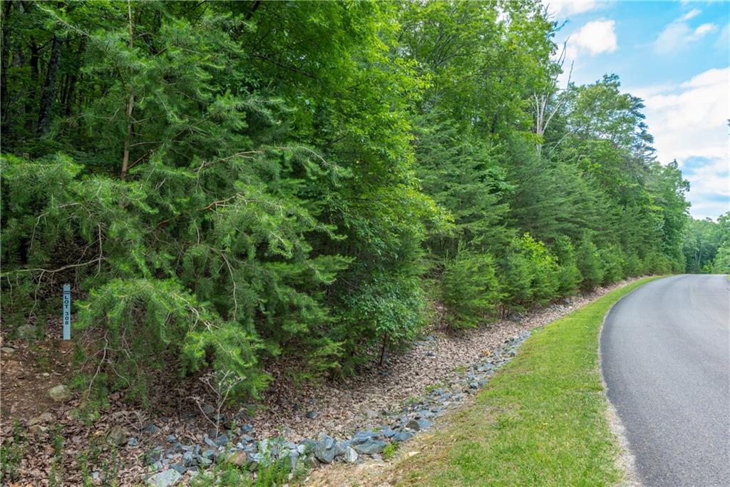 307 Stonehaven Court Jasper, GA 30143 - Photo 8 of 18 a view of a garden with a sink
