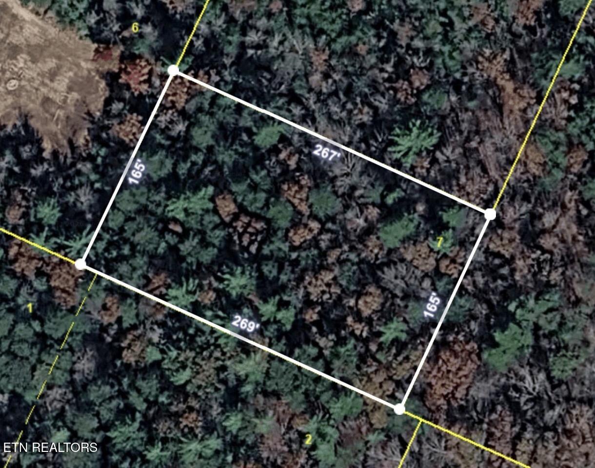 Lower Smithfield Road Tellico Plains, TN 37385 - Photo 1 of 13 IMG_2565