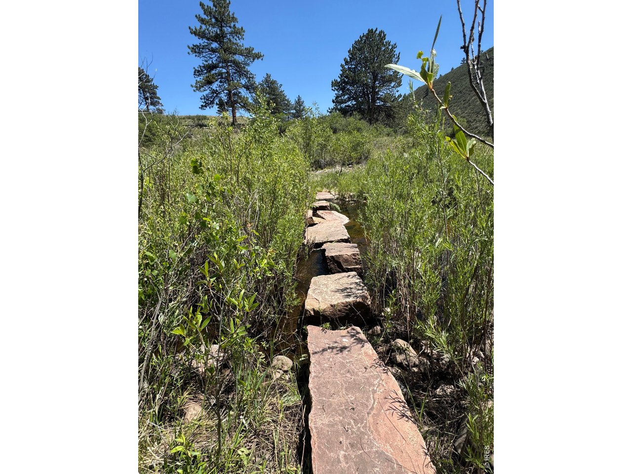 1115 Vision Way Lyons, CO 80540 - Photo 25 of 32