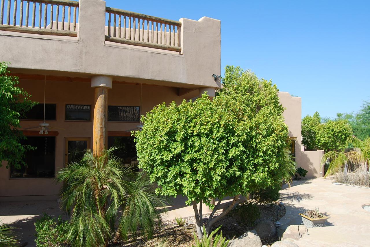 4055 North Recker Road, Unit 98 Mesa, AZ 85215 - Photo 21 of 28 Backyard & view deck
