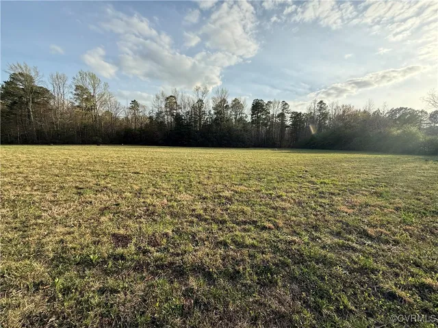 a view of a lush green forest with a houses