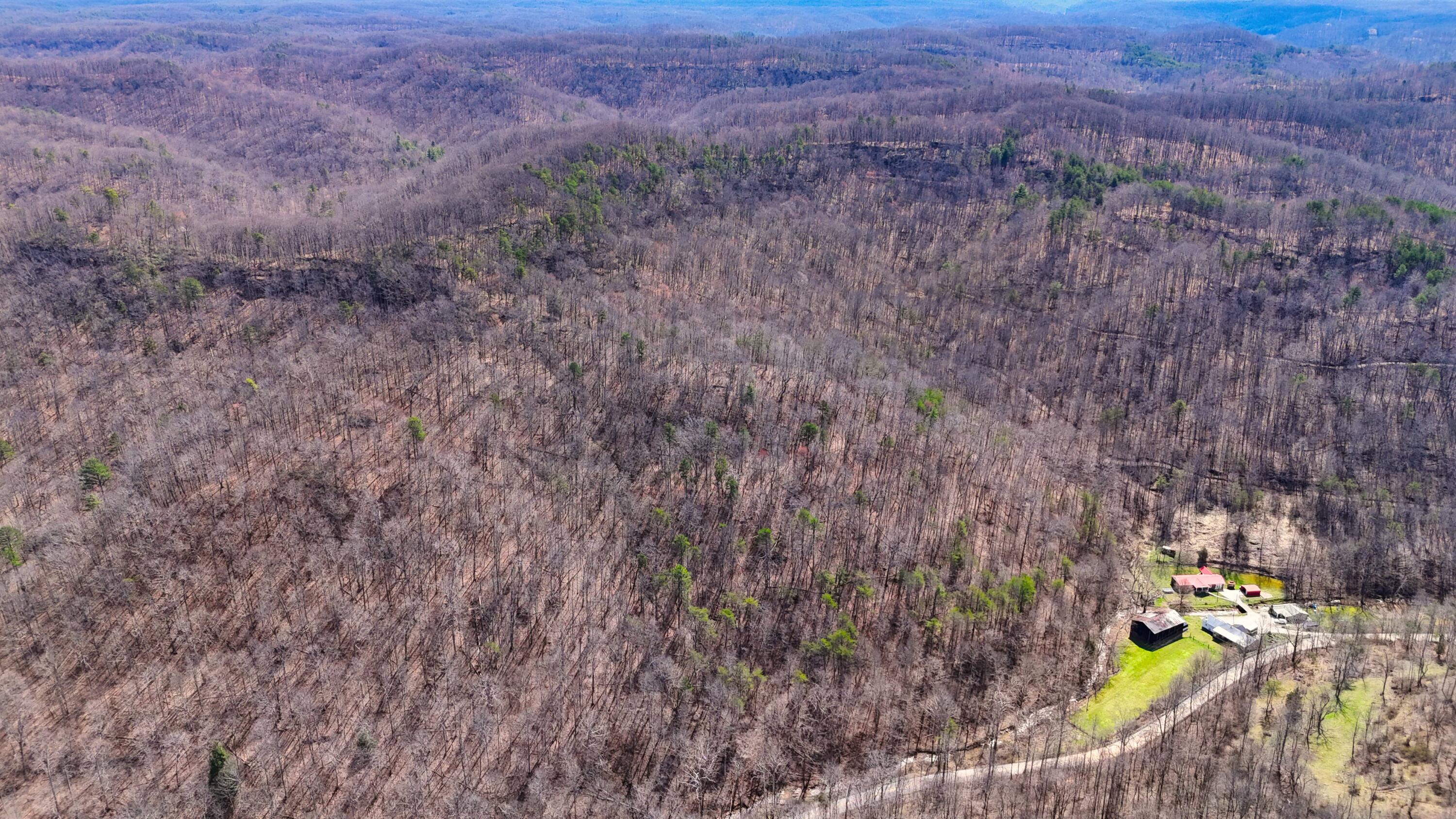 0 Sand Springs Road McKee, KY 40447 - Photo 13 of 58 DJI_20250318130150_0011_D