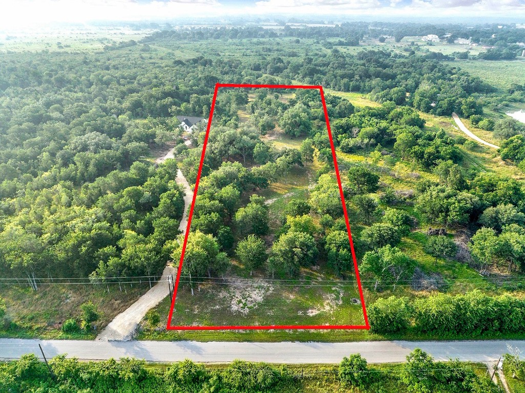 a view of a park with large trees and plants