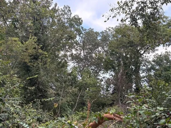 $45,000 | 248 Buena Vista Drive, Chattanooga, TN 37404