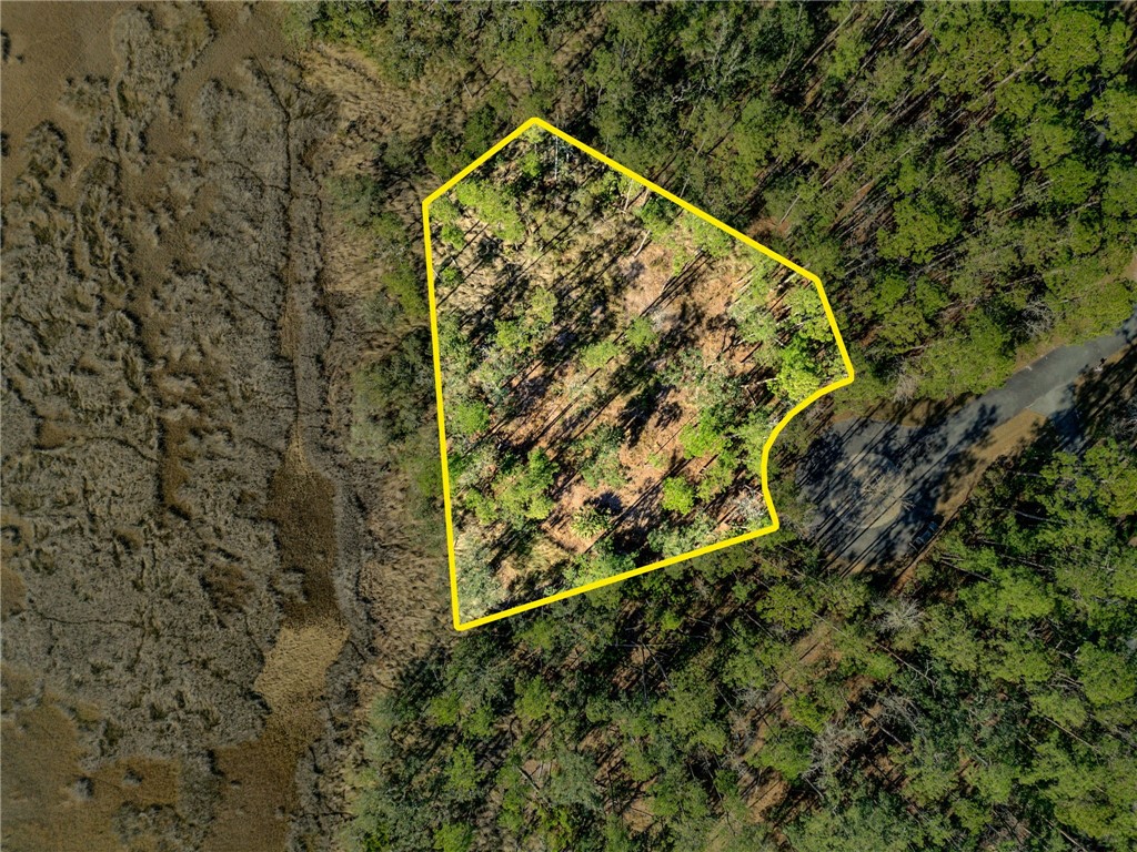 Lot 138 Sapelo Circle Northeast Townsend, GA 31331 - Photo 2 of 29