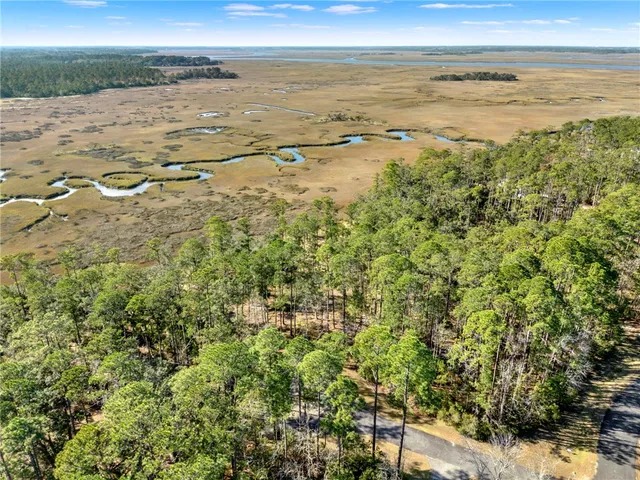 $57,900 | Lot 138 Sapelo Circle Northeast, Townsend, GA 31331