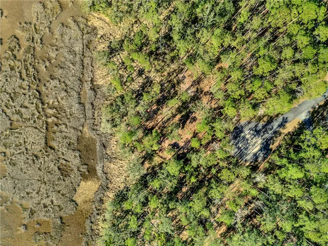 $57,900 | Lot 138 Sapelo Circle Northeast, Townsend, GA 31331