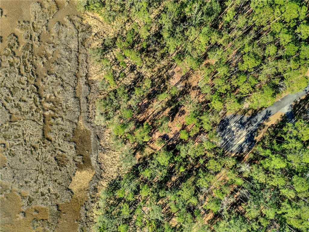 Lot 138 Sapelo Circle Northeast Townsend, GA 31331 - Photo 4 of 29