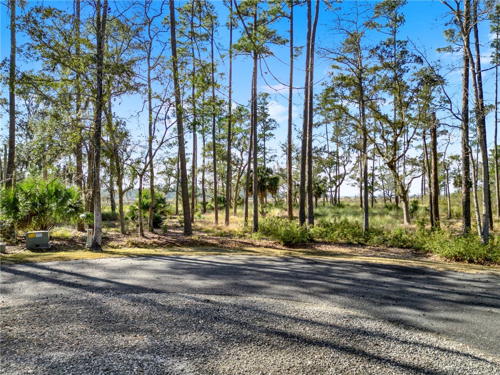 Lot 138 Sapelo Circle Northeast Townsend, GA 31331 - Photo 5 of 29