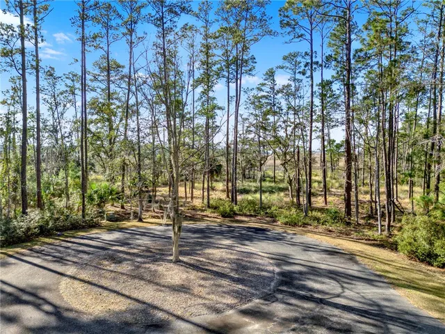 $57,900 | Lot 138 Sapelo Circle Northeast, Townsend, GA 31331