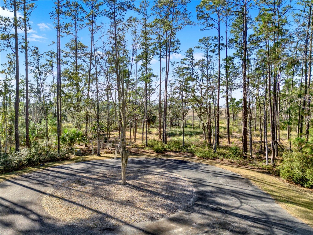 Lot 138 Sapelo Circle Northeast Townsend, GA 31331 - Photo 6 of 29