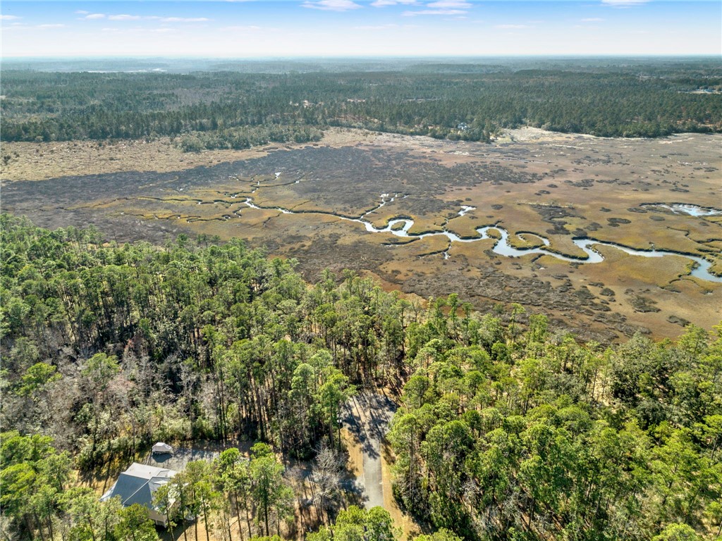 Lot 138 Sapelo Circle Northeast Townsend, GA 31331 - Photo 7 of 29