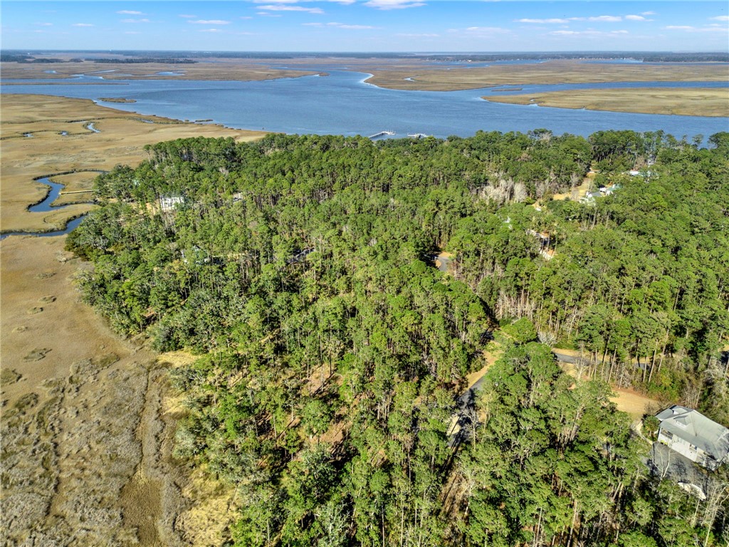 Lot 138 Sapelo Circle Northeast Townsend, GA 31331 - Photo 9 of 29