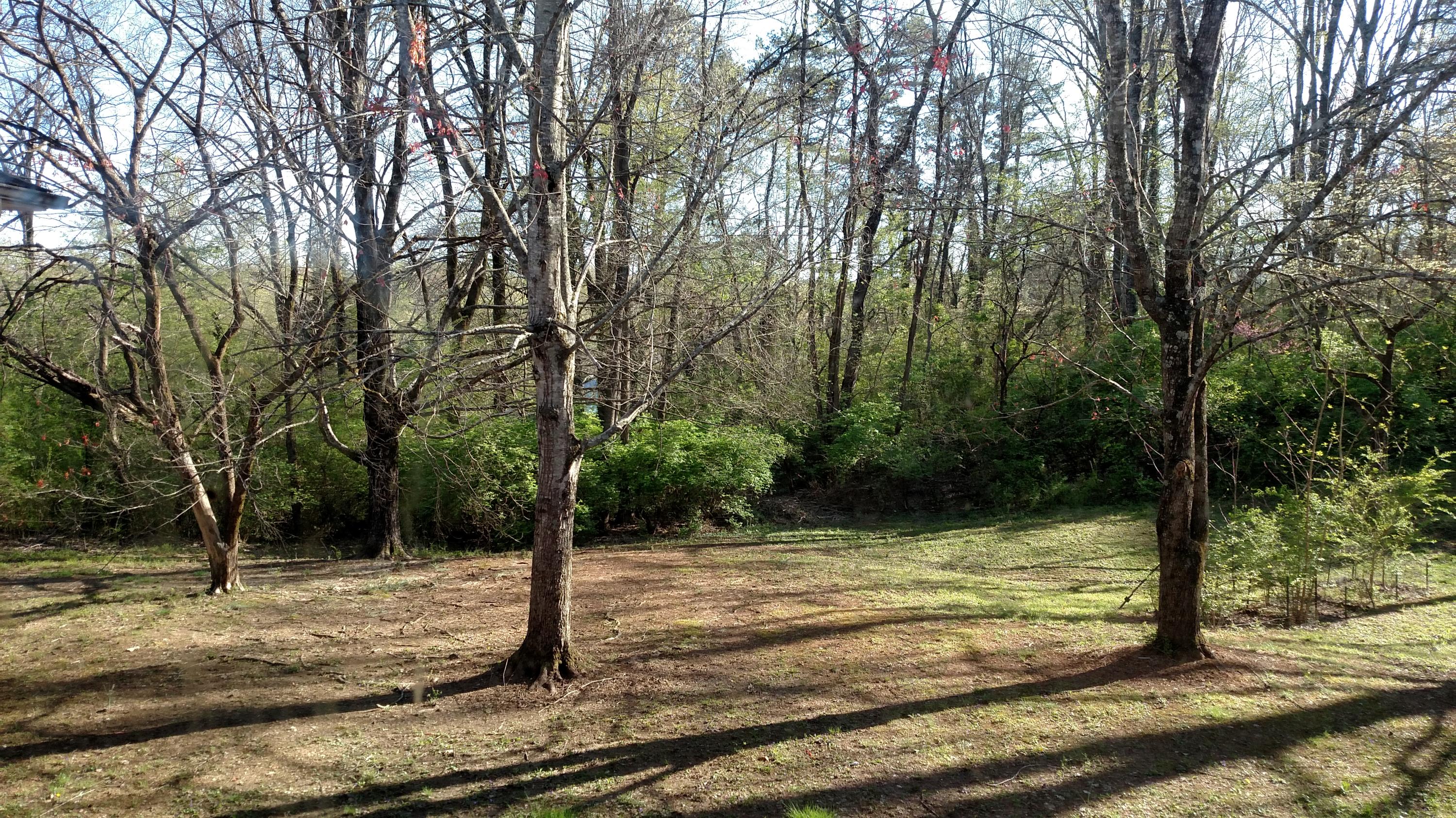 104 Pearl Road Oak Ridge, TN 37830 - Photo 24 of 24 IMG_20160403_173923195