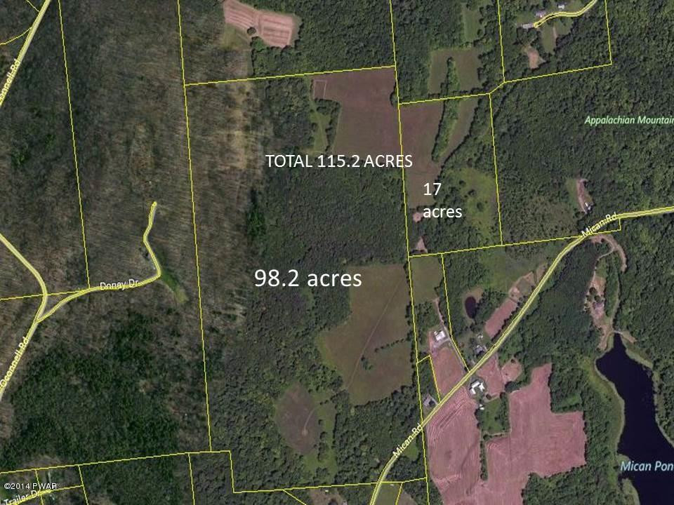 Mican Road Waymart, PA 18472 - Photo 1 of 1