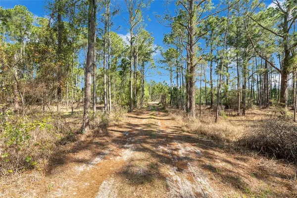 $250,000 | 32404 Highland Lakes Road, DeLand, FL 32720