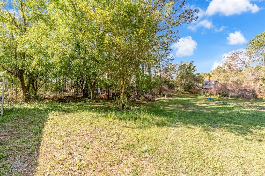 32404 Highland Lakes Road DeLand, FL 32720 - Photo 31 of 41