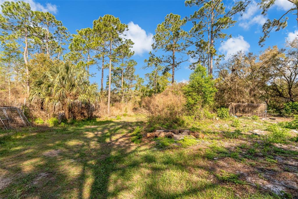 32404 Highland Lakes Road DeLand, FL 32720 - Photo 34 of 41