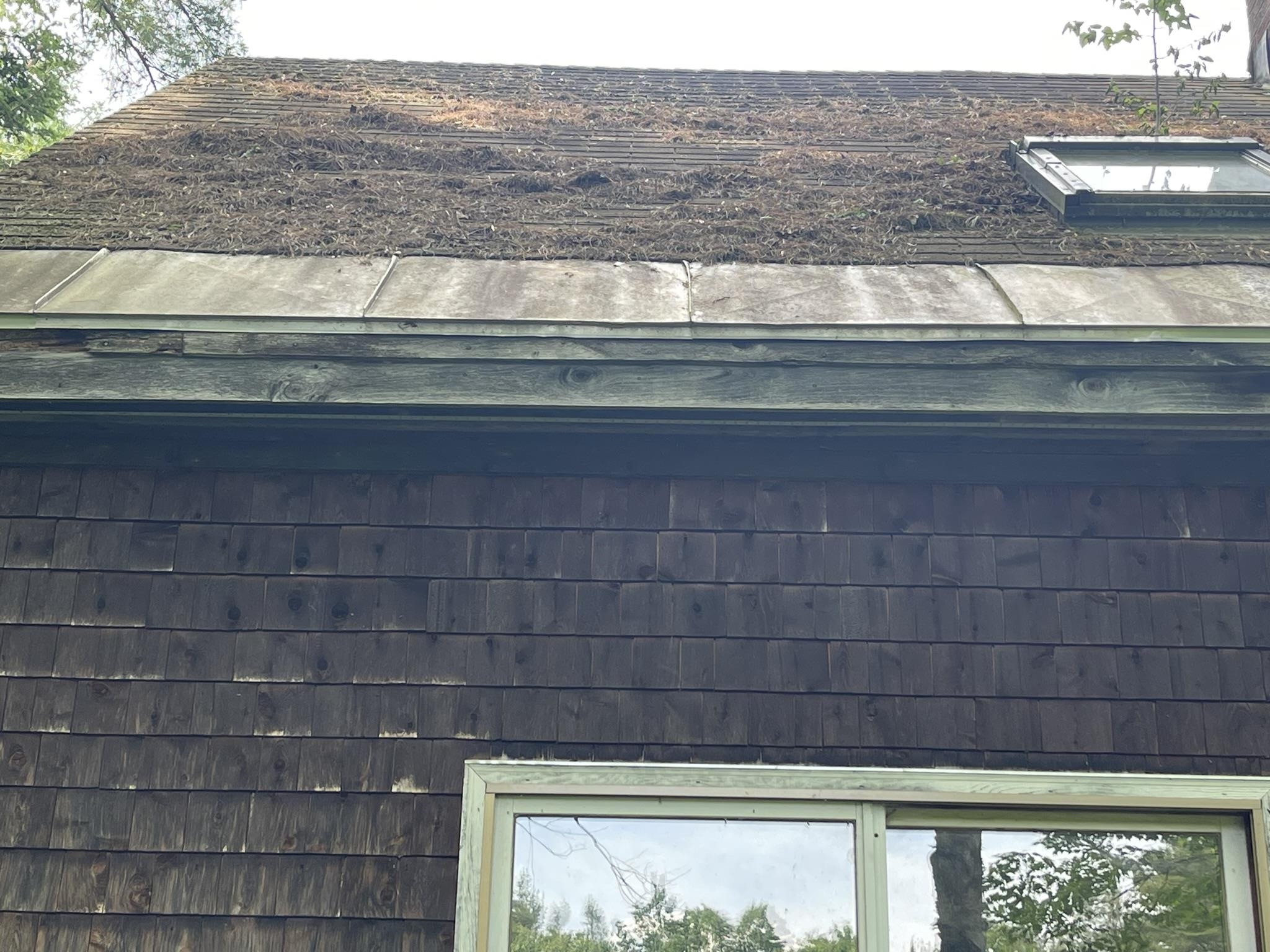 603 N Road Guildhall, VT 05905 - Photo 40 of 52