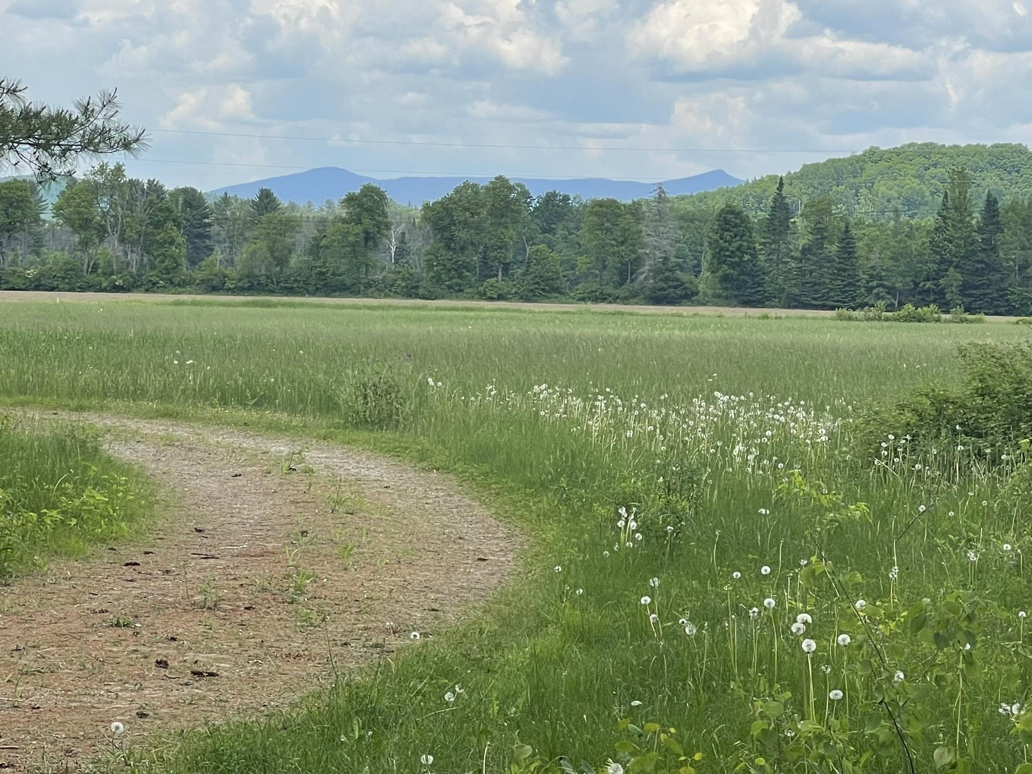 603 N Road Guildhall, VT 05905 - Photo 4 of 52