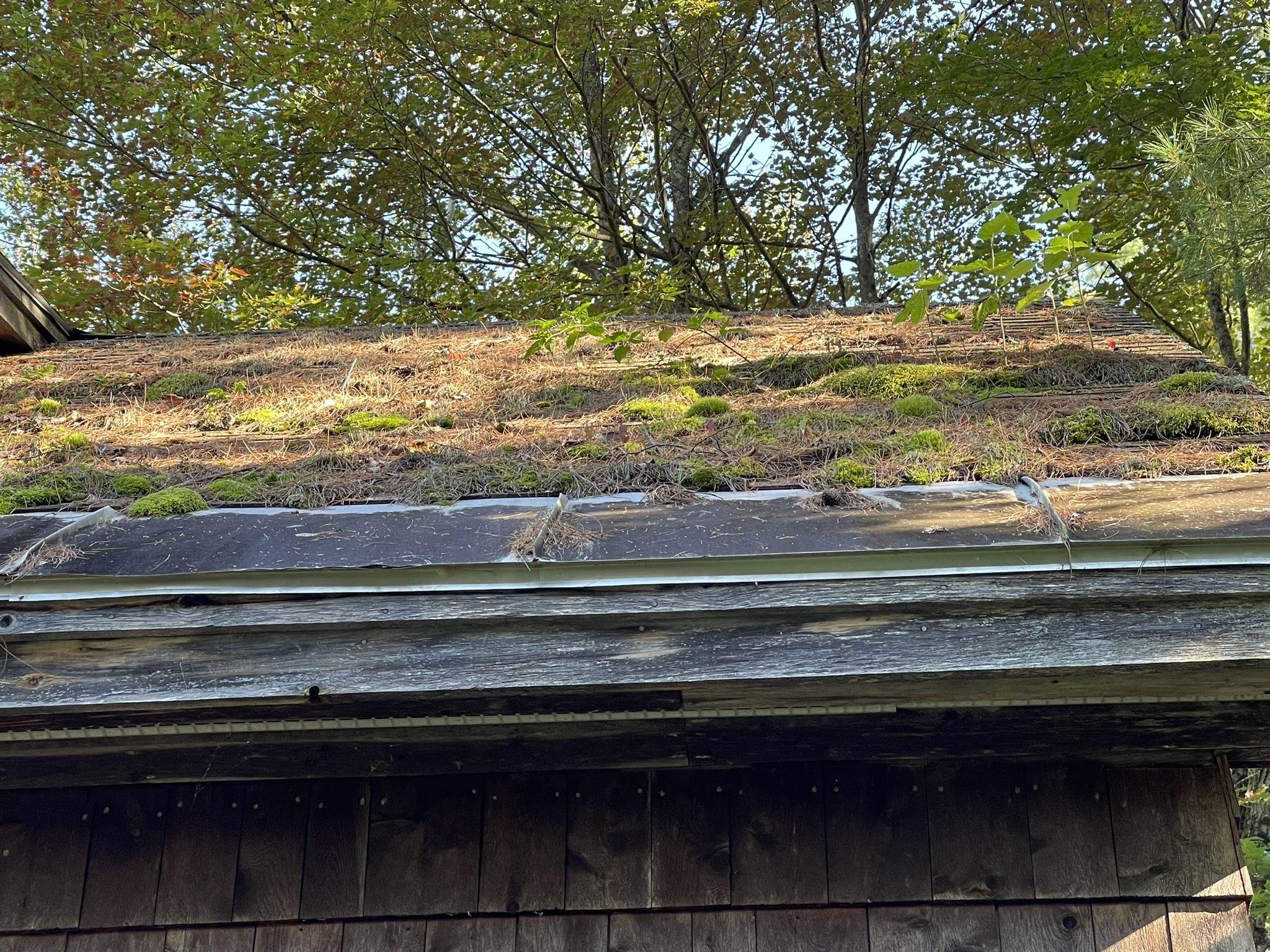 603 N Road Guildhall, VT 05905 - Photo 44 of 52