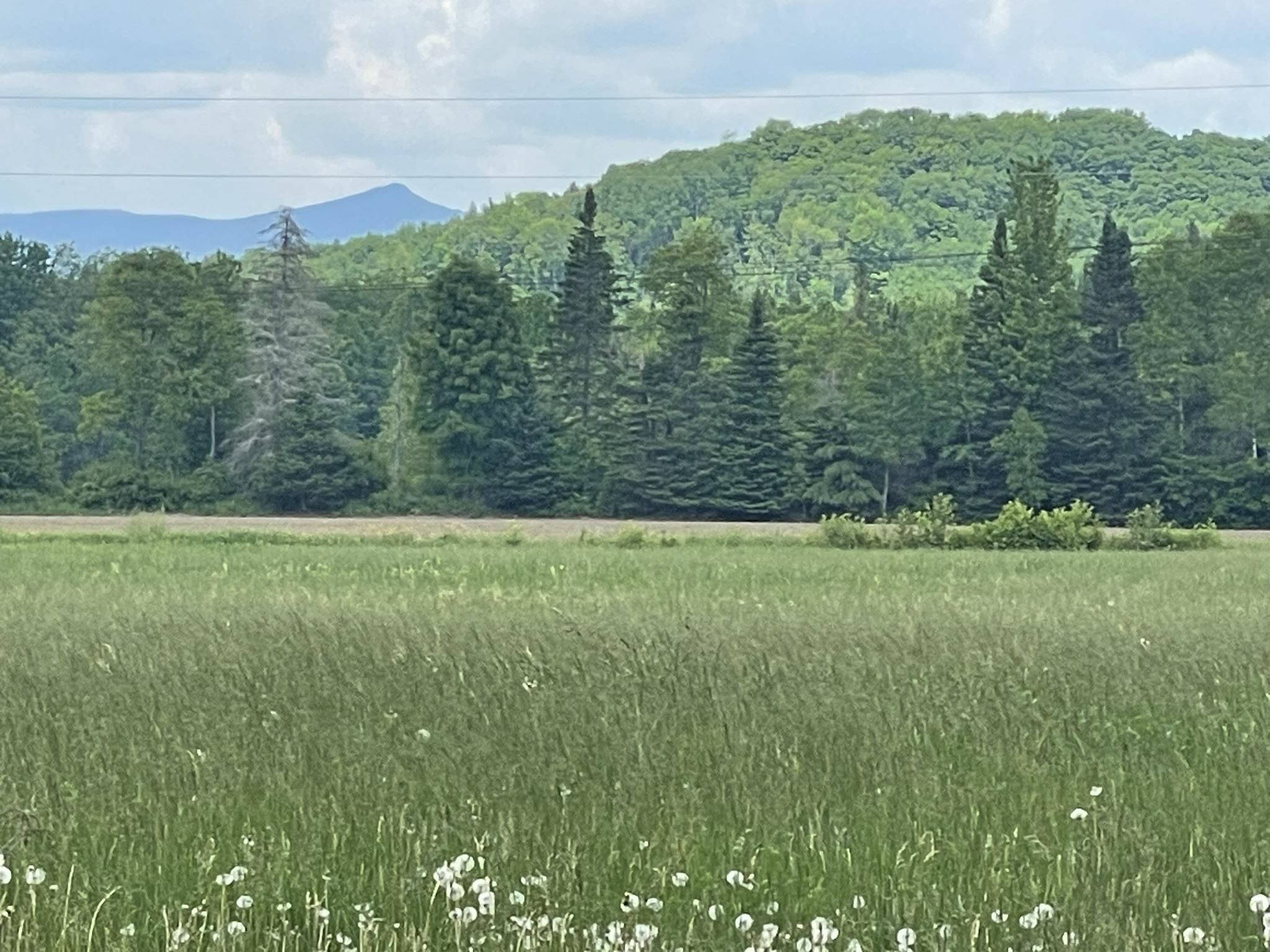 603 N Road Guildhall, VT 05905 - Photo 10 of 52