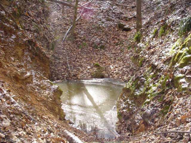 1694 Steele Road Sandy Ridge, NC 27046 - Photo 5 of 5 Other. Mica mine had rails and cars that went into the mine