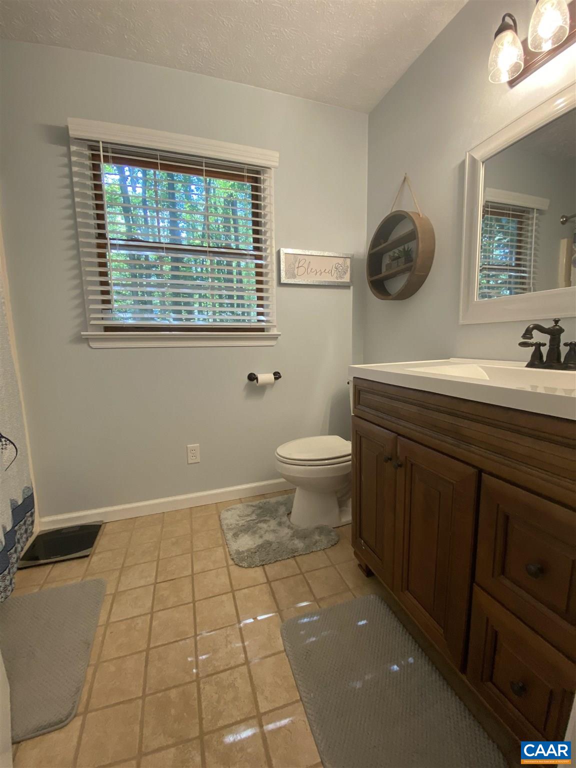 11 Stonefield Road Palmyra, VA 22963 - Photo 16 of 27 a bathroom with a toilet a sink and mirror