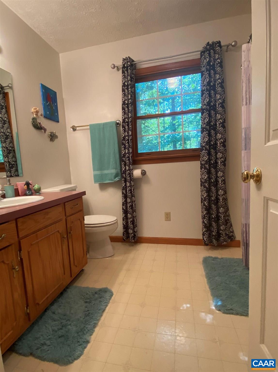 11 Stonefield Road Palmyra, VA 22963 - Photo 19 of 27 a view of a room with a window and storage