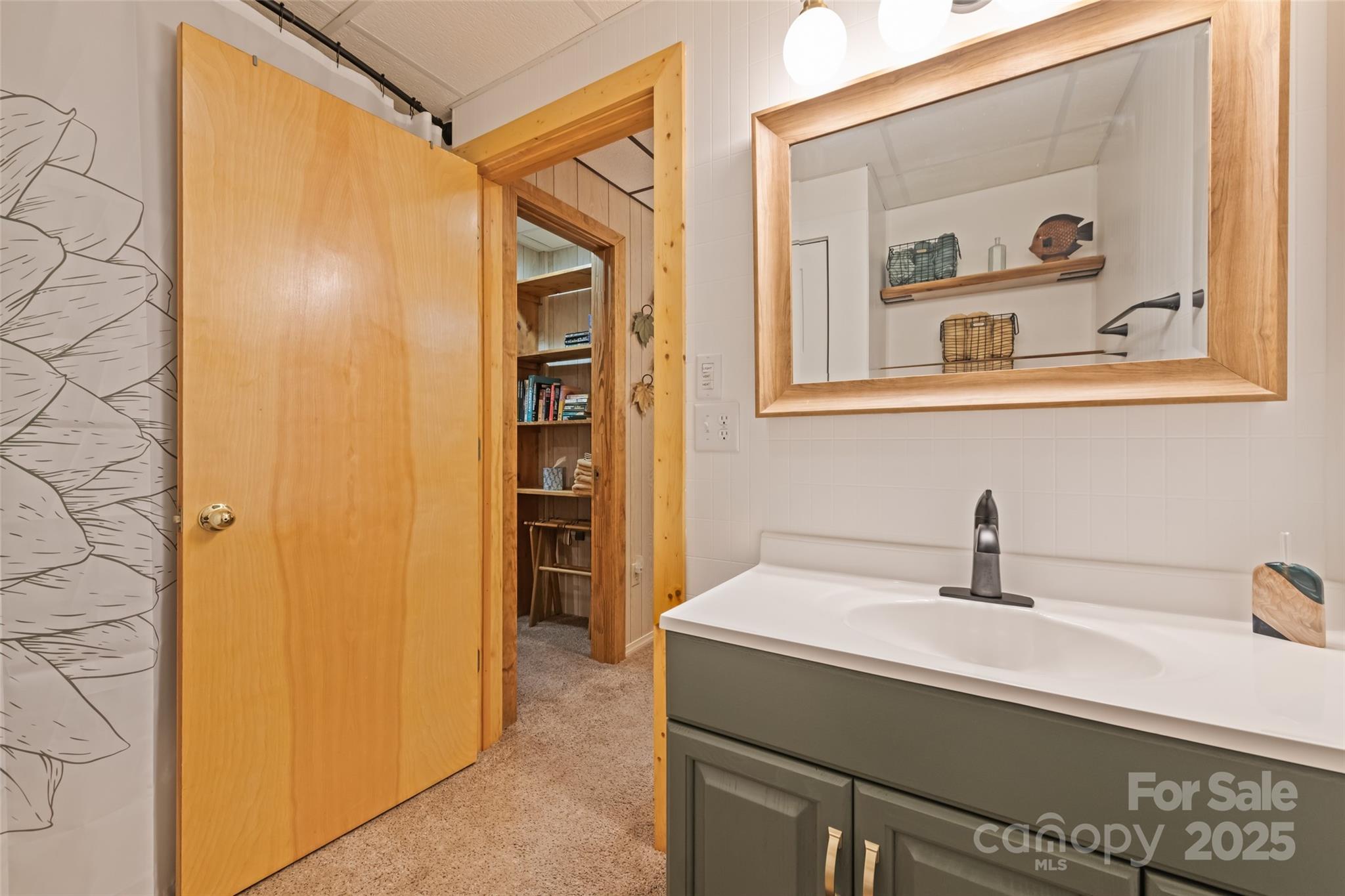 4231 Bald Creek Road Clyde, NC 28721 - Photo 16 of 23 a bathroom with a sink and a mirror