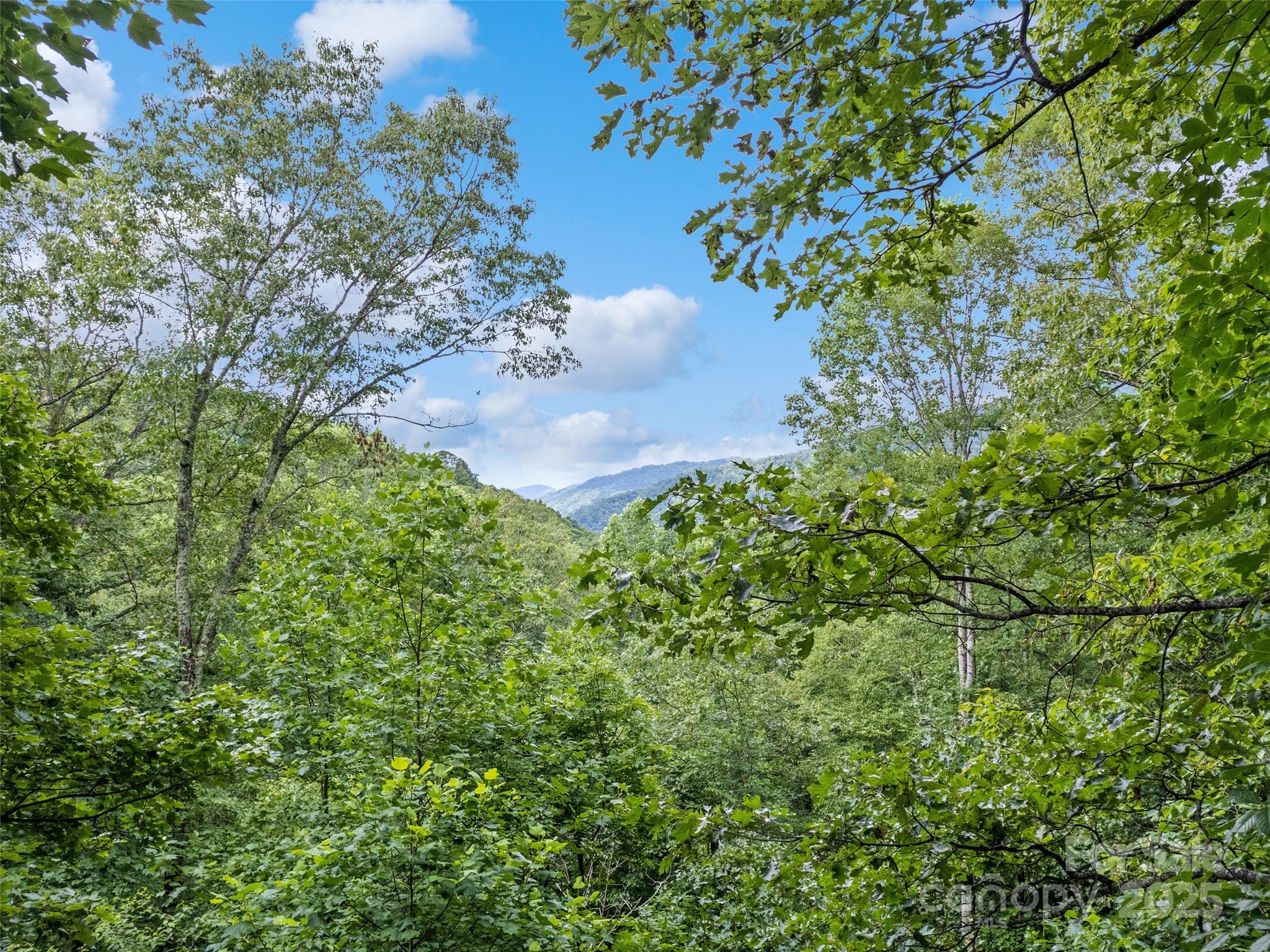 4231 Bald Creek Road Clyde, NC 28721 - Photo 22 of 23 a view of a garden