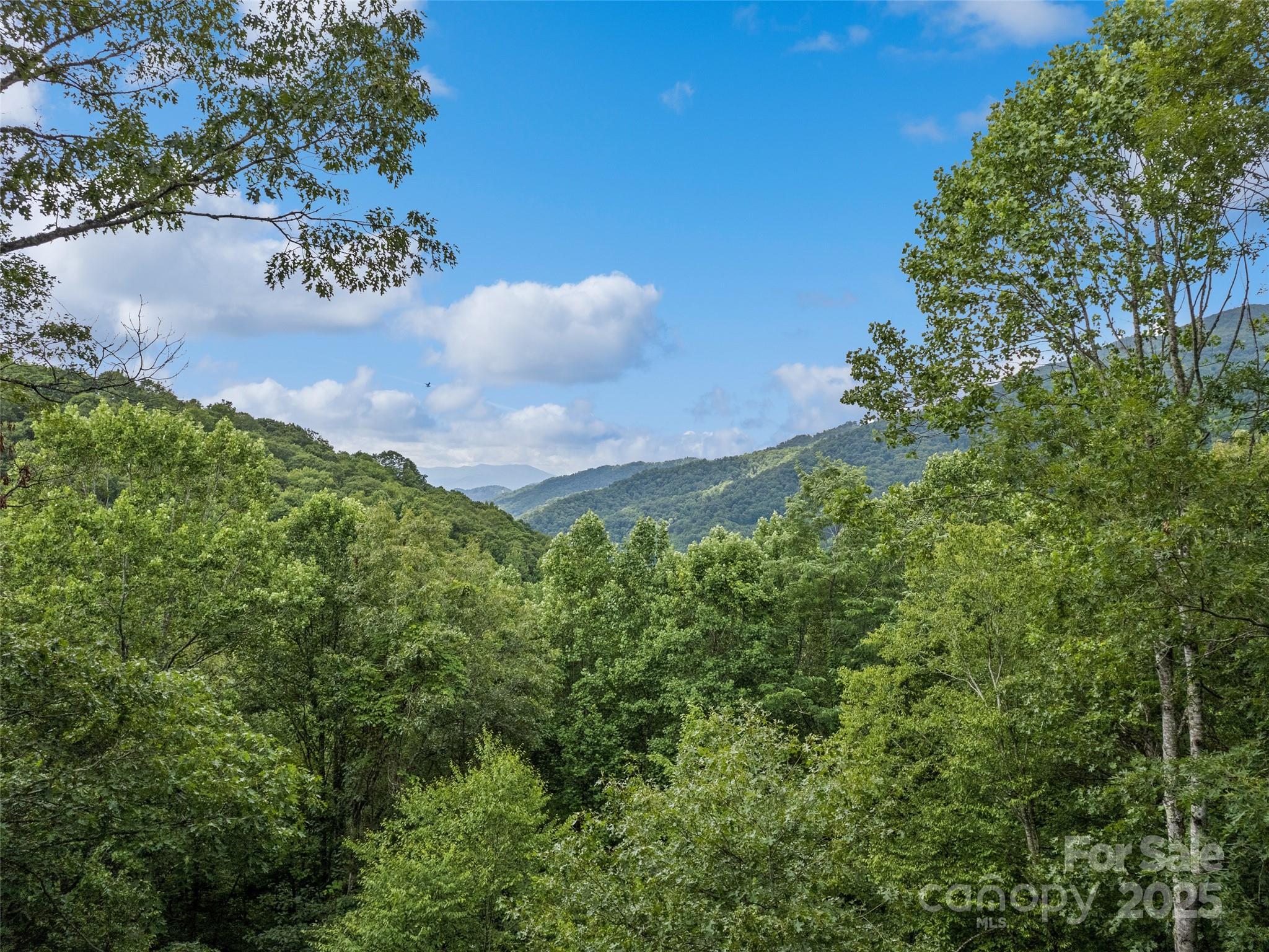 4231 Bald Creek Road Clyde, NC 28721 - Photo 3 of 23 a view of a outdoor space and a yard