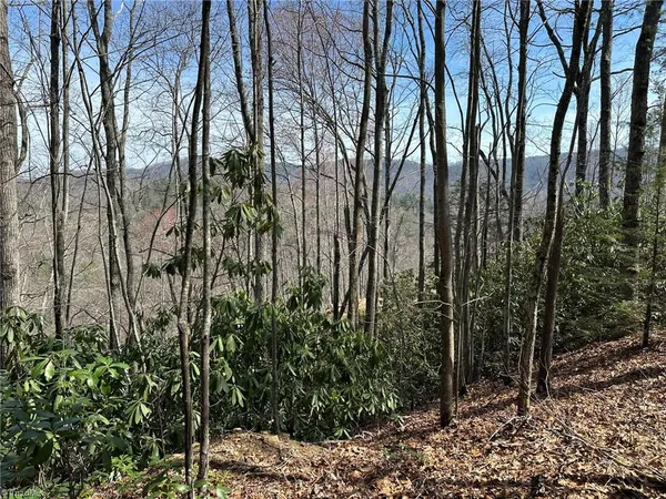 $349,900 | 6475-6485 Buffalo Cove Road, Lenoir, NC 28645