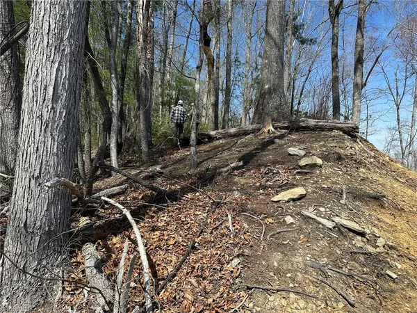 $349,900 | 6475-6485 Buffalo Cove Road, Lenoir, NC 28645