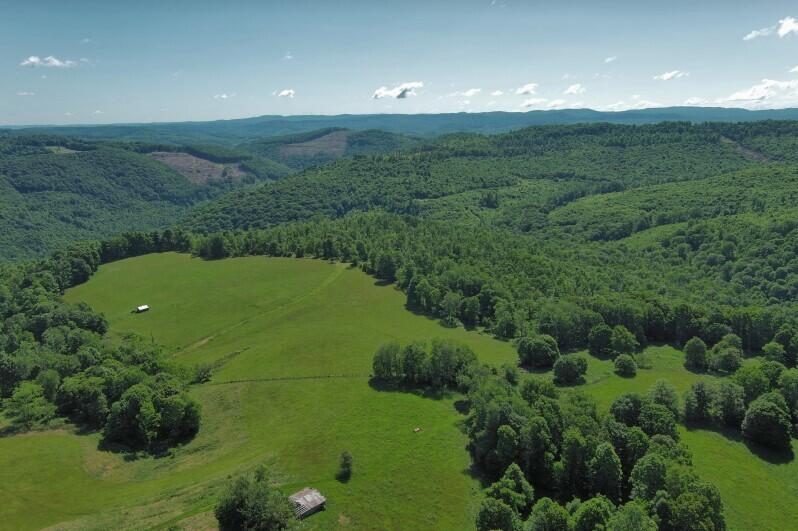 1024 River Road Rainelle, WV 25962 - Photo 8 of 31 Gallery Image 8
