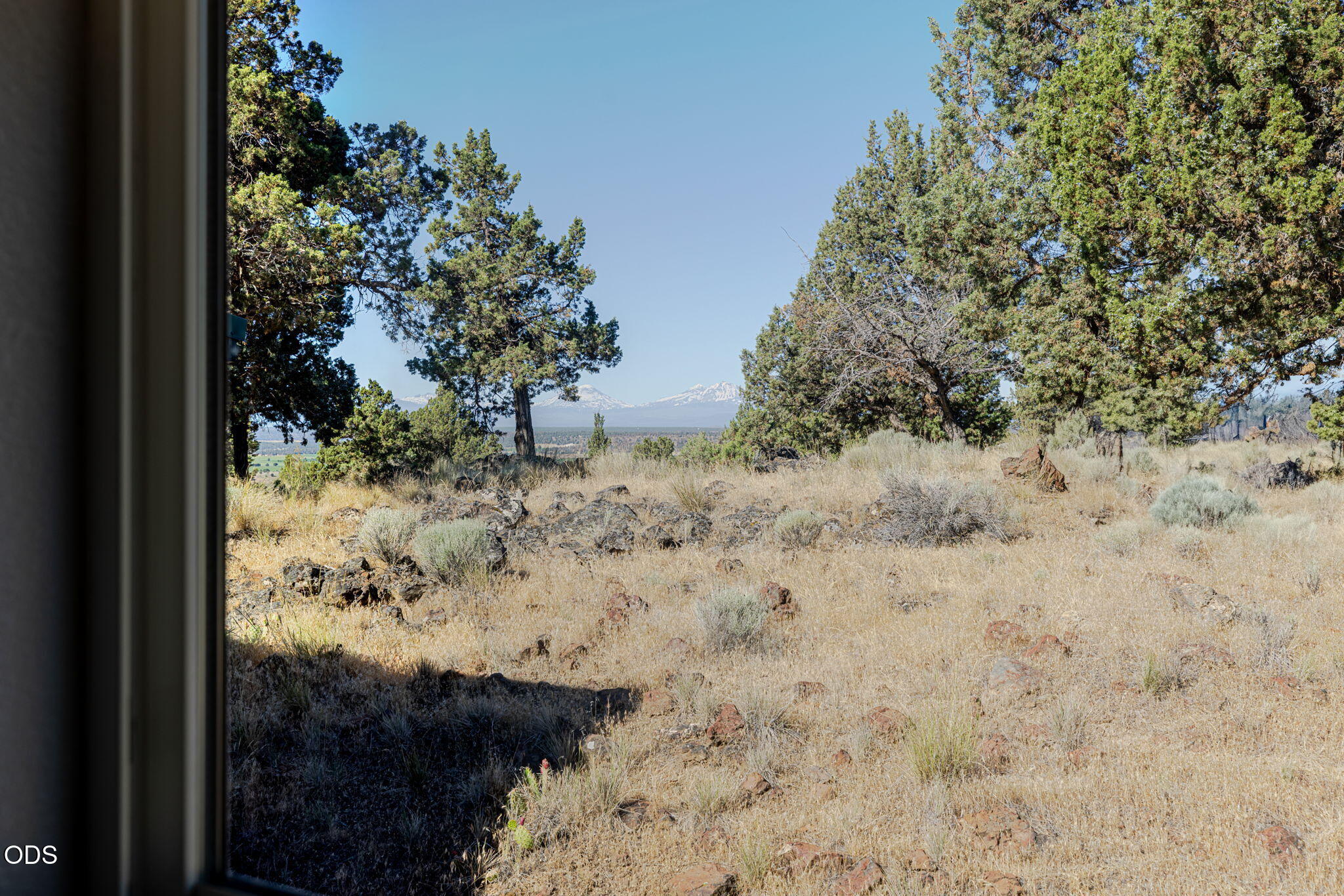 8628 Southwest Crater Loop Road Terrebonne, OR 97760 - Photo 11 of 36 a view of a yard with plants and tree