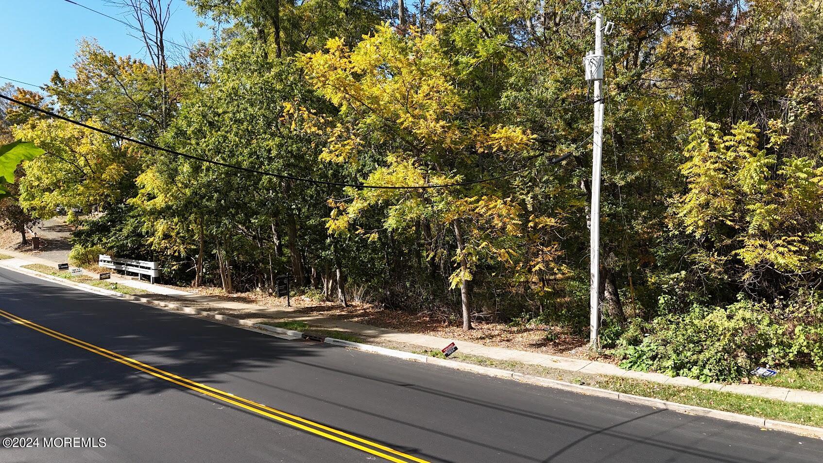 280 Schanck Road Freehold, NJ 07728 - Photo 6 of 19 a view of a house with a tree