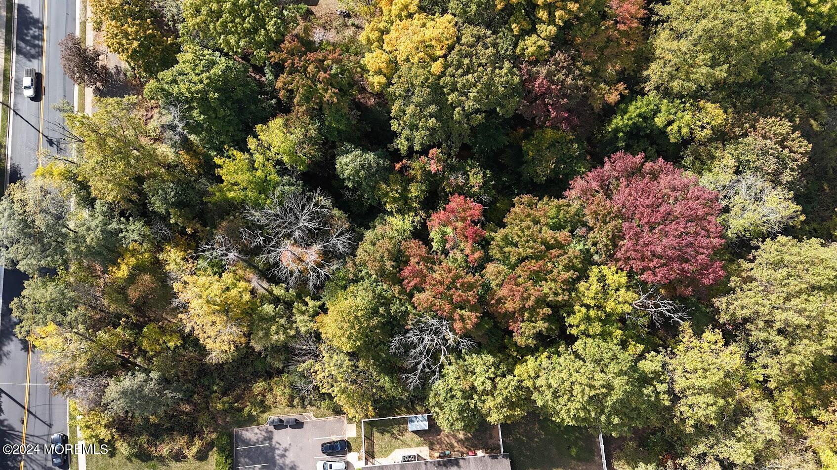 280 Schanck Road Freehold, NJ 07728 - Photo 7 of 19 a picture of flowers