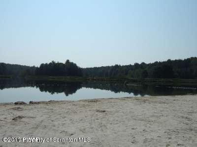 9 Mustang Road Lake Ariel, PA 18436 - Photo 2 of 12 beach at beaver lake