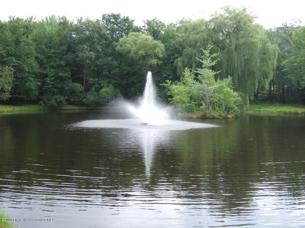9 Mustang Road Lake Ariel, PA 18436 - Photo 6 of 12 fountain on deer lake