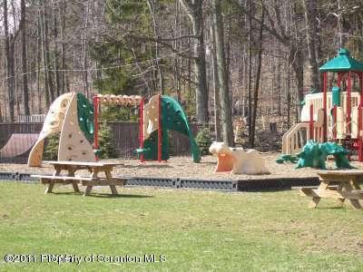 9 Mustang Road Lake Ariel, PA 18436 - Photo 10 of 12 play area