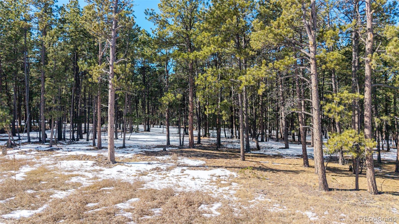 10775 Hardy Road Colorado Springs, CO 80908 - Photo 12 of 14