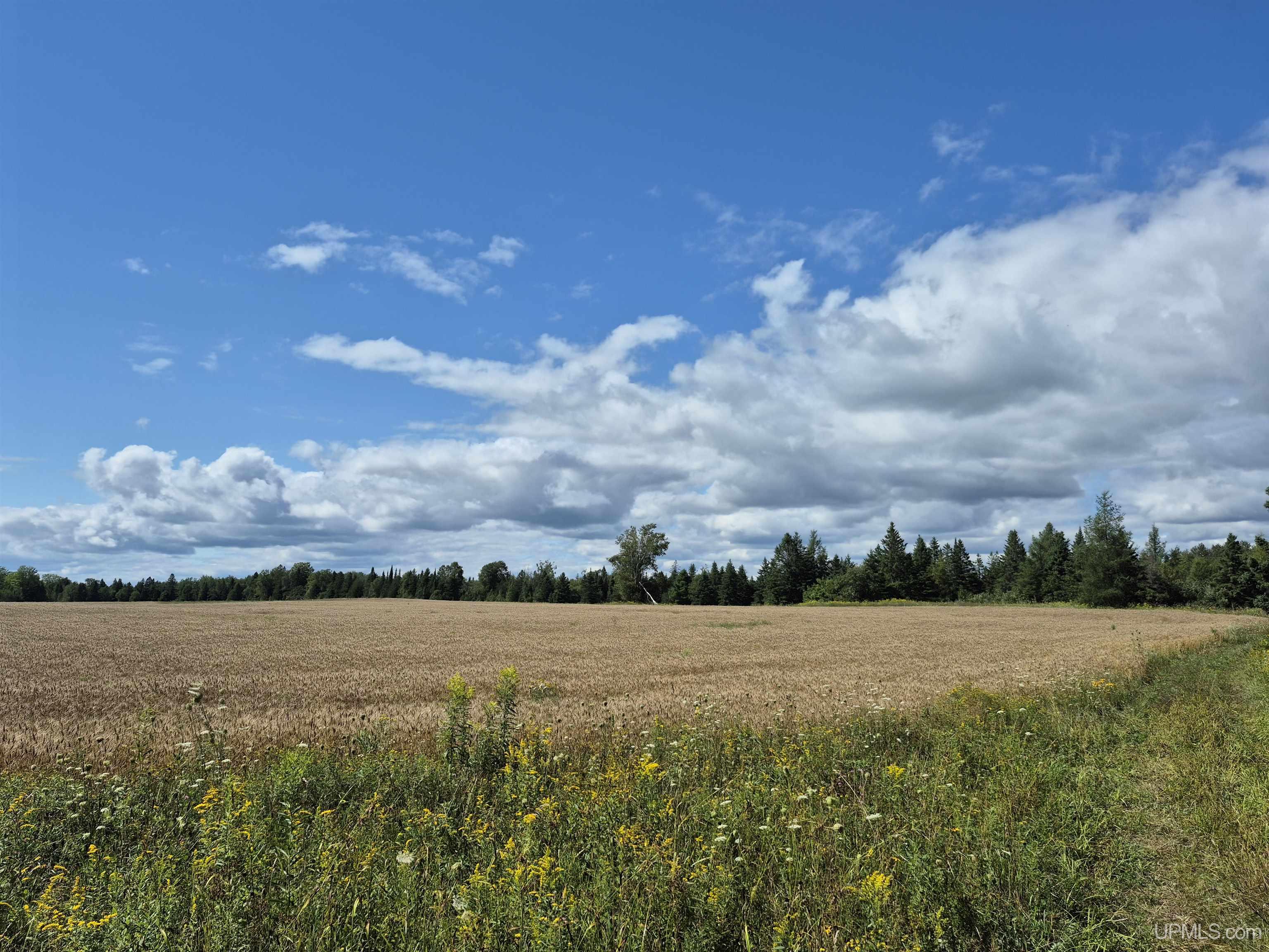 160-acres Halverson Road Gulliver, MI 49840 - Photo 17 of 35