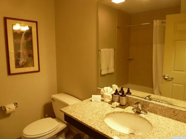 a bathroom with a granite countertop toilet sink and mirror