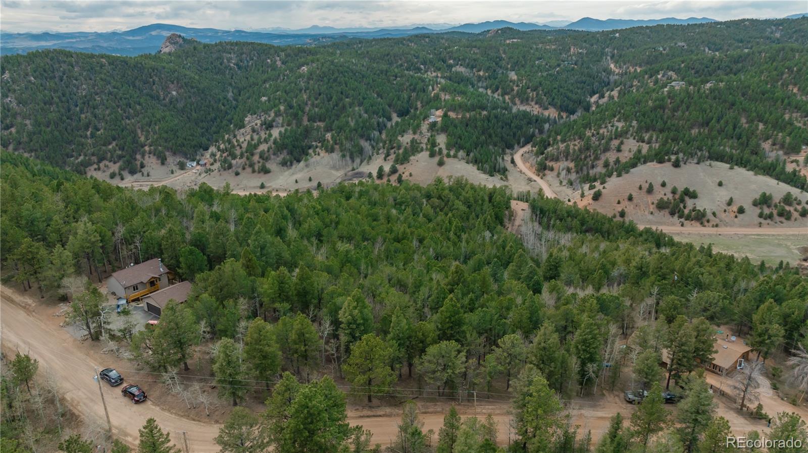 a view of a forest with a lake